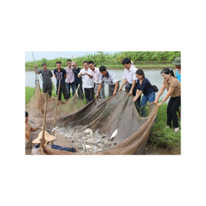 LƯỚI KÉO CÁ - QUÉT CÁ - THEO YÊU CẦU