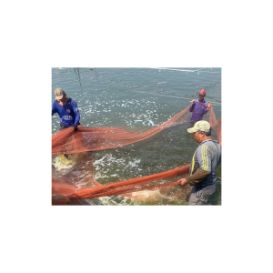 LƯỚI KÉO CÁ - QUÉT CÁ - THEO YÊU CẦU