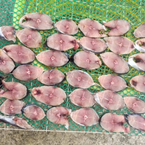 Lưới nhựa phơi cá