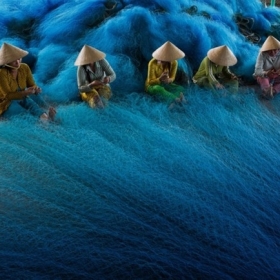 📰 THỊ TRƯỜNG LƯỚI BAO BÌ "BÙNG NỔ": TỔNG HỢP CÁC LOẠI LƯỚI ĐANG ĐƯỢC ƯA CHUỘNG NHẤT HIỆN NAY