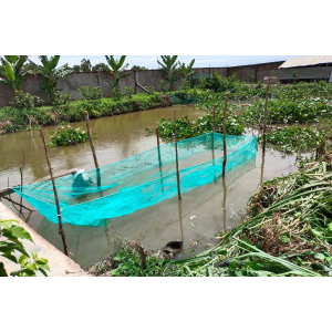 TRÁNG - VÈO LƯỚI THÁI LAN | NHẬN GIA CÔNG THEO YÊU CẦU