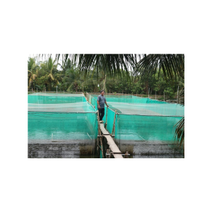 TRÁNG - VÈO LƯỚI THÁI LAN | NHẬN GIA CÔNG THEO YÊU CẦU