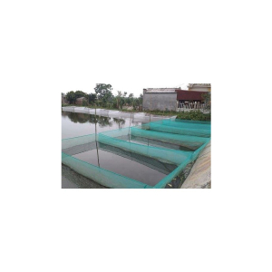 TRÁNG - VÈO LƯỚI THÁI LAN | NHẬN GIA CÔNG THEO YÊU CẦU