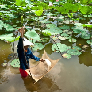 Vó Kéo Cá – Giải Pháp Đánh Bắt Thủy Sản Hiệu Quả Cho Mọi Nhà